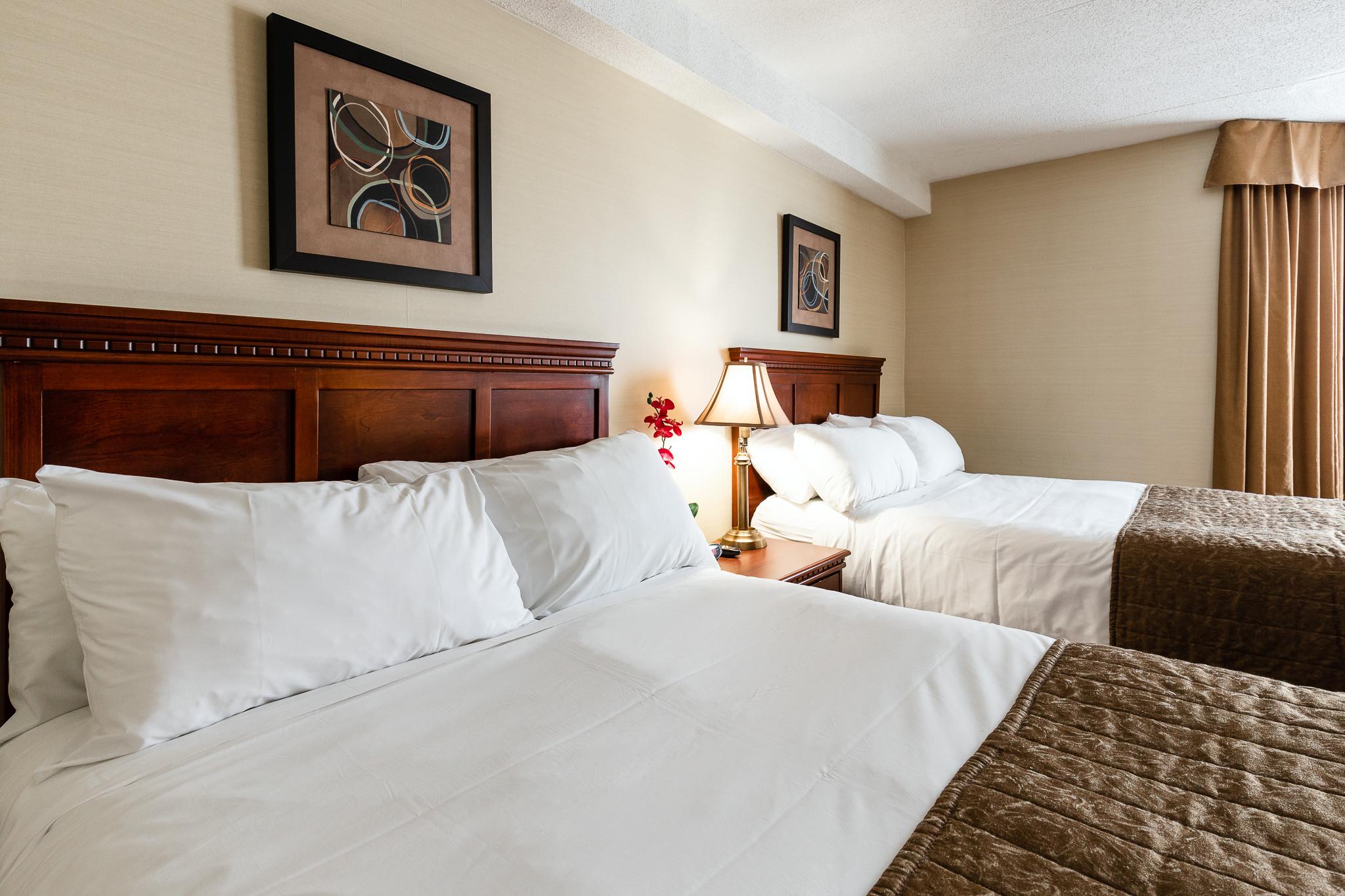 Welcominns Ottawa Zewnętrze zdjęcie