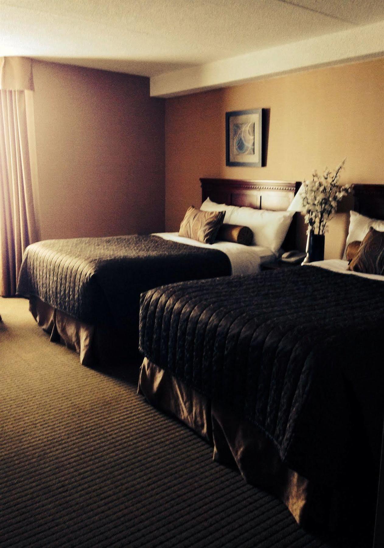 Welcominns Ottawa Zewnętrze zdjęcie